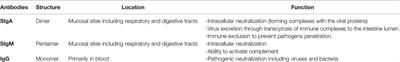 Effects of Vaccination Against Influenza, Pertussis, and COVID-19 on Human Milk Antibodies: Current Evidence and Implications for Health Equity